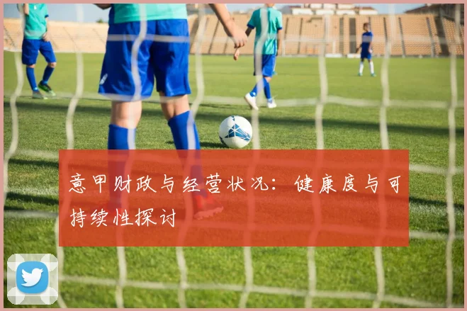 意甲财政与经营状况：健康度与可持续性探讨
